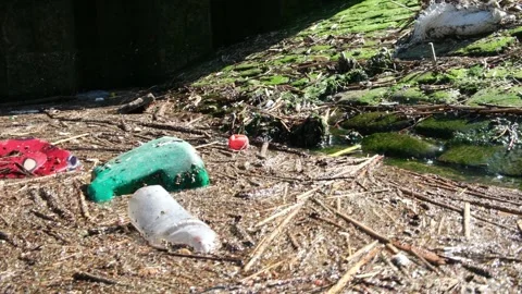 River Pollution Stock Footage 244393408