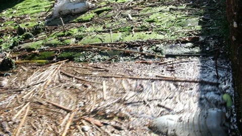 River Pollution Stock Footage 244394350