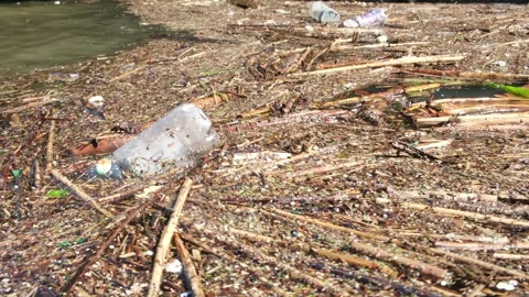 River Pollution Stock Footage 244395192