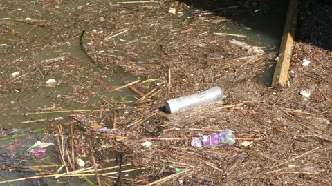 River Pollution Stock Footage 244399124