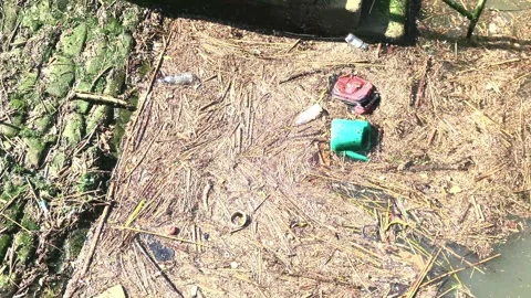 River Pollution Stock Footage 244399317