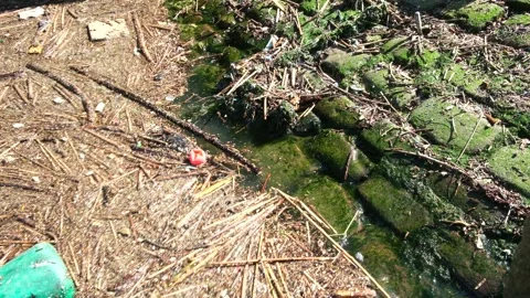 River Pollution Stock Footage 244399513