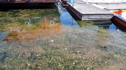 River pollution with garbage discharge Stock Footage 138982951