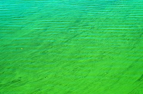 River pollution Stock Photos