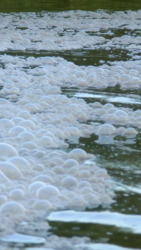 River pollution by sewage. Vertical video. Stock Footage 279710469
