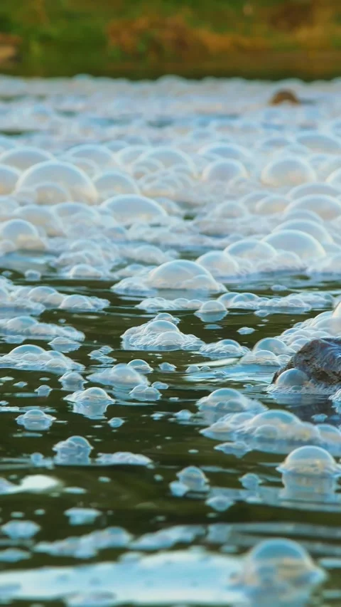 River pollution by sewage. Vertical video. Stock-Footage 279710579