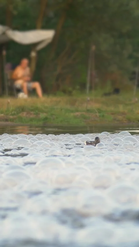 River pollution by sewage. Vertical video. Video stock 279710583