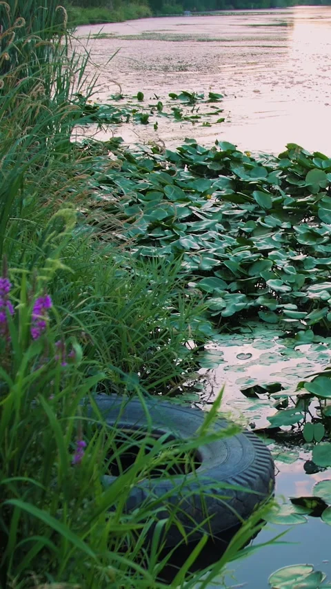 River pollution by sewage. Vertical video. Stock Footage 279710608
