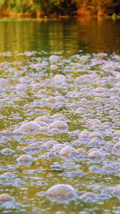 River pollution by sewage. Vertical video. 스톡 동영상 279710626