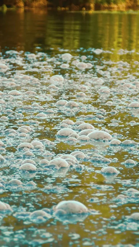 River pollution by sewage. Vertical video. Stock Footage 279710627