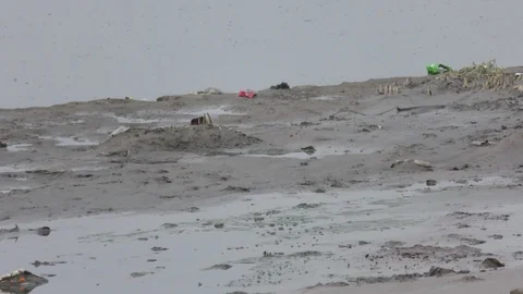 River pollution with trash and dirty water Stock Footage 114387557