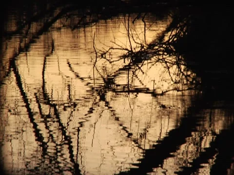 River Pond Lake Reflection Sunset Sunrise Water Waves Silhouette Ambience 動画素材 7764510