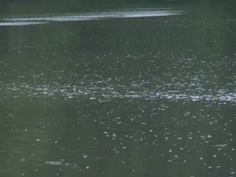 River Pond Lake Water Surface Droplets Rain Scenic 動画素材 7764424