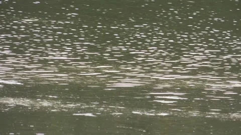 River pond ocean surface water stream wave ripple texture flow running by wind Stock Footage 195226427