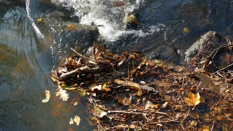 River, Pouring Water, Water Surface Stock Footage 99454775