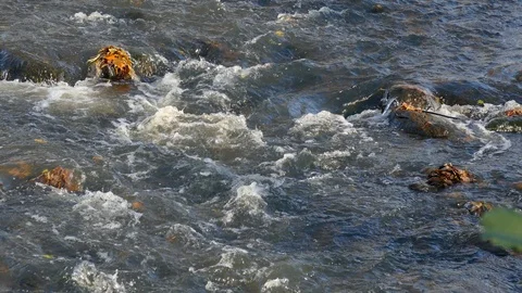 River, Pouring Water, Water Surface Stock Footage 99454893