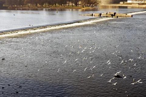The river in Prague Stock Photos