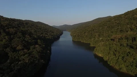 River Pristine Rainforest Aerial Crane Up Brazil Stock Footage 108748615