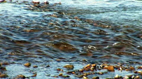 River prut 16 Stock Footage 8849827