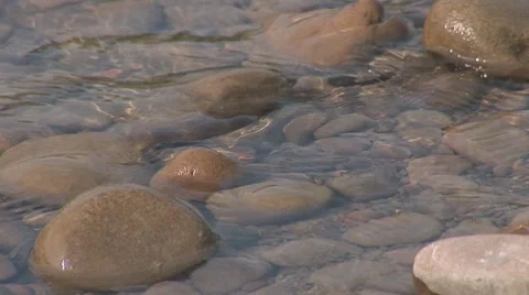 River prut 8 Stock Footage 8648386