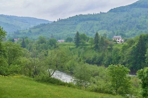 The river Prut Stock Photos