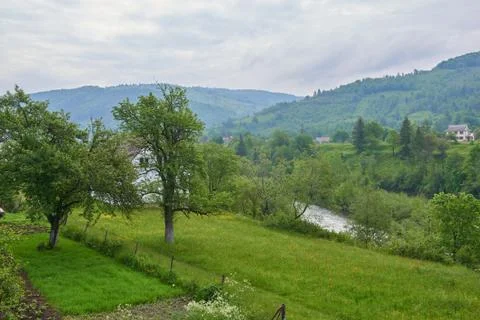 The river Prut Stock Photos