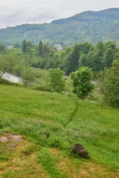 The river Prut Stock Photos