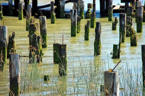 River pylons Stock Photos