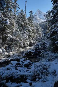 River in pyrenees Foto stock