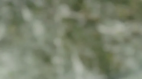 River Rack Focus 1 slow motion 1280x720p 23.976fps Photo Jpeg Stock-Footage 8640226