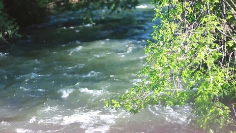 River Rack Focus Video stock 90994730