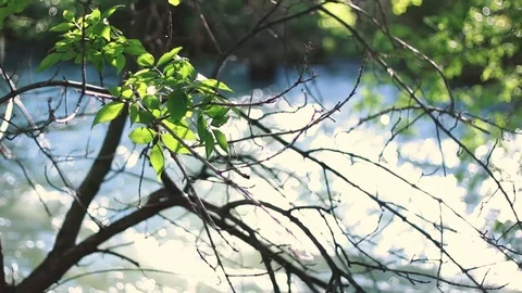 River Rack Focus Stock Footage 90994787