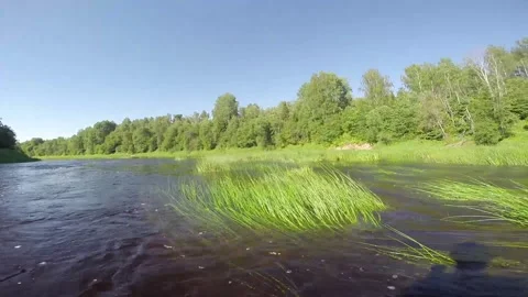 River rafting Stock Footage 156702440