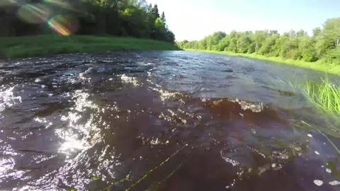 River rafting Stock Footage 156702449