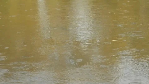 River, rain, drops Stock Footage 137317702