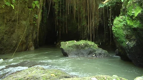 River in the rain forest in Bali Stock Footage 41379977
