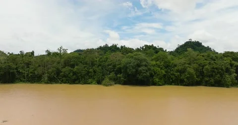 River in the rainforest. Borneo, Malaysia. Stock Footage 236610077