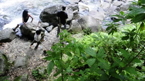 River in the Rainforest Vídeos de archivo 49588276