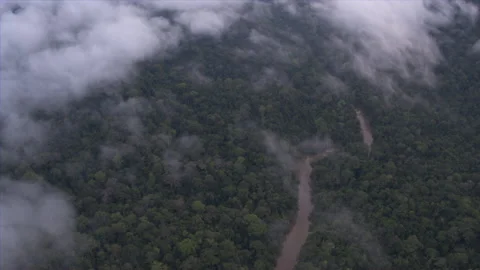 River in rainforest Stock Footage 164851616
