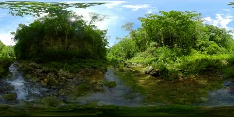 River in the rainforest. Philippines, Bohol. Virtual Reality 360. Stock Footage 145481170
