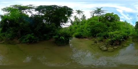 River in the rainforest. Philippines, Bohol. Virtual Reality 360. Stock Footage 145484434