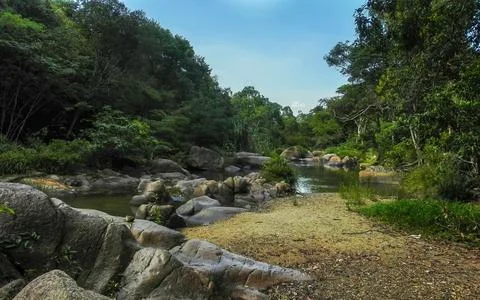 River in the rainforest Stock Photos