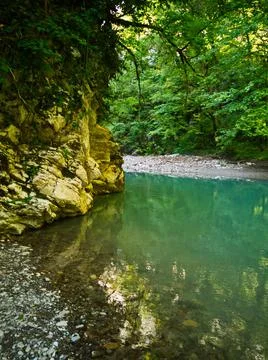 River in the rainforest Stock Photos