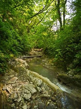 River in the rainforest 스톡 사진