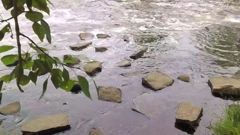 A river with a rapid current and a backwater with stones Stock Footage 78539675