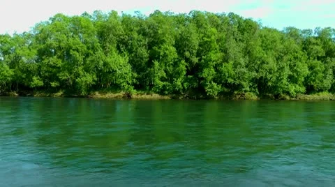 The river with a rapid current and island where is a lot of mushrooms Stock Footage 10687535