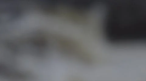 River rapid fall focus pull 100fps 1080p Stock Footage 52822629