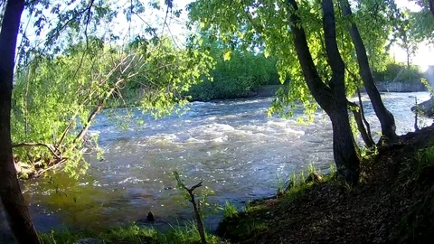 River - rapid flow in the spring 2 Stock Footage 108673783