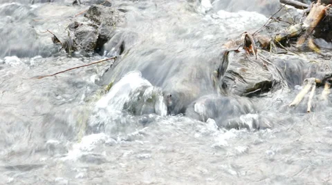 River rapid with rocks, closeup view Video stock 47073715