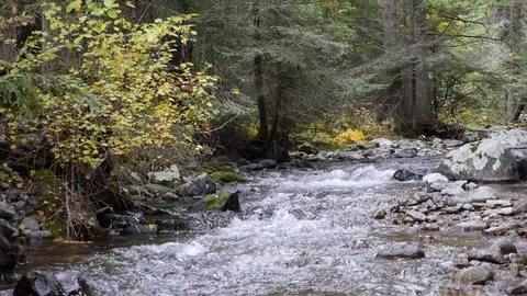 River rapids 1 by dwking Video stock 81409643